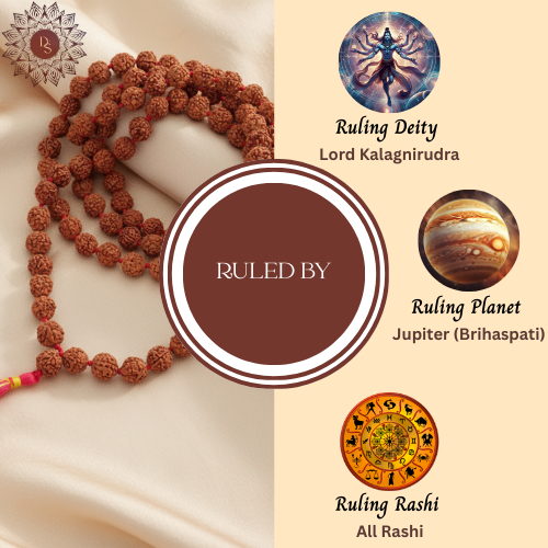 5 Mukhi Rudraksha Mala (108+1 Bead)