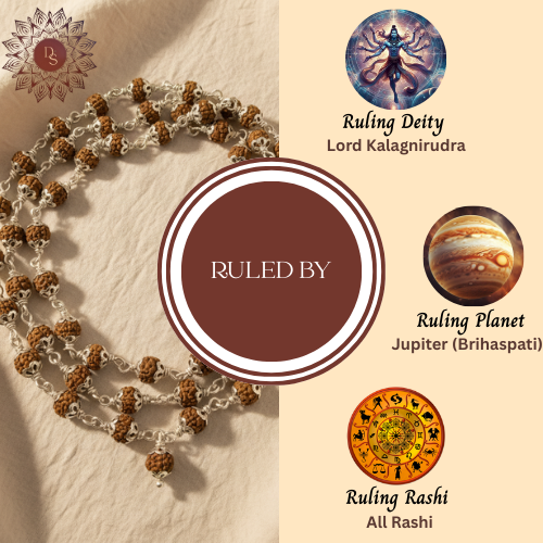 5 Mukhi Silver Cap Rudraksha Mala (108+1 Beads)
