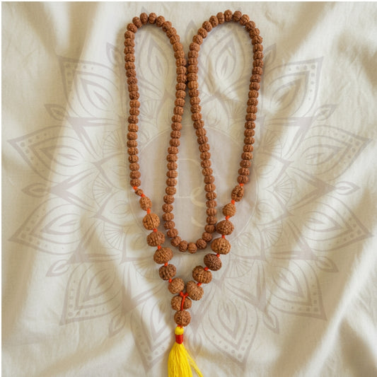 1–14 Mukhi Rudraksha Mala ( Siddha Mala )