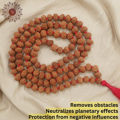 10 Mukhi Rudraksha Mala (108+1 Beads)