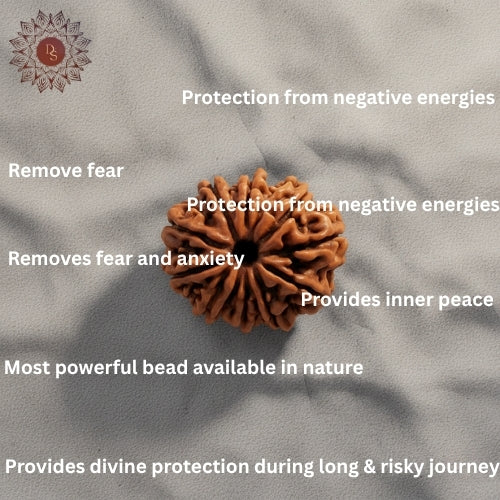 10 Mukhi Rudraksha Bead (Indonesian)
