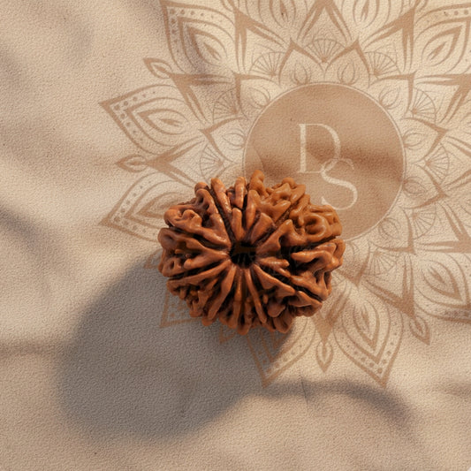 10 Mukhi Rudraksha Bead (Indonesian)