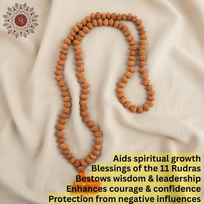 11 Mukhi Rudraksha Mala (108+1 beads)