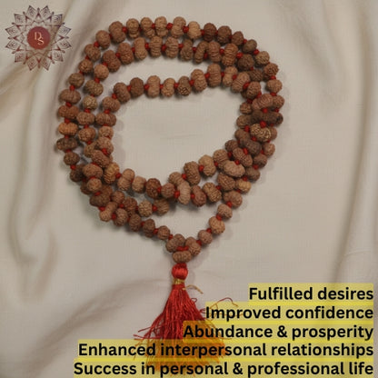 12 Mukhi Rudraksha Mala ( 108+1 beads )