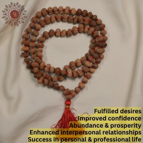 13 Mukhi Rudraksha Mala (108 Bead)