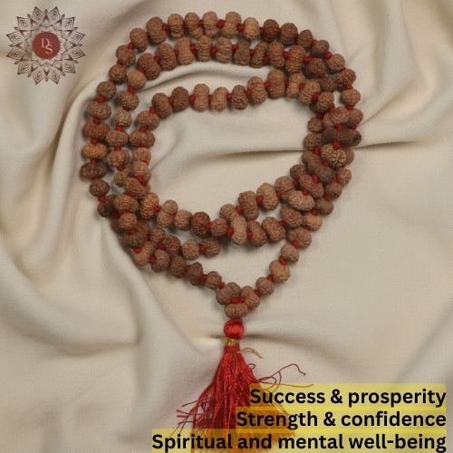 14 Mukhi Rudraksha Mala (108+1 Bead)