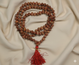 14 Mukhi Rudraksha Mala (108+1 Bead)