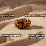 21 Mukhi Rudraksha Bead (Indonesian)