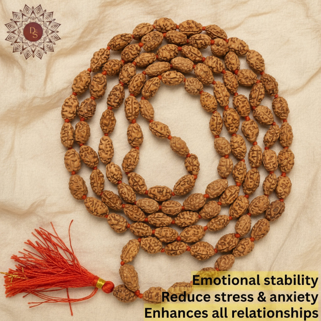 2 Mukhi Rudraksha Mala (108+1 Bead)