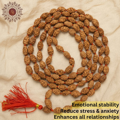 2 Mukhi Rudraksha Mala (108+1 Bead)
