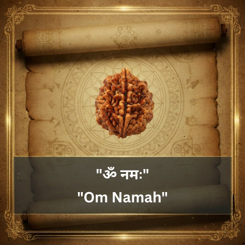 2 Mukhi Rudraksha Bead (Nepali)