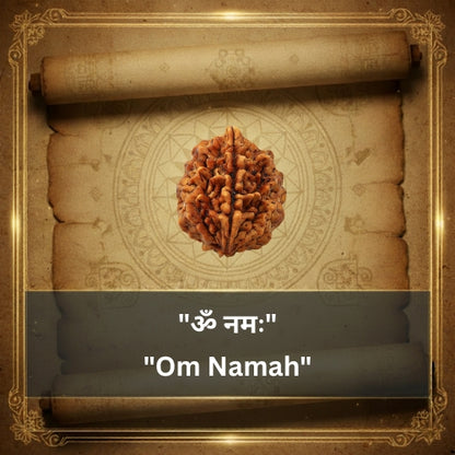 2 Mukhi Rudraksha Bead (Nepali)