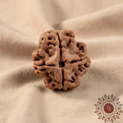 4 Mukhi Rudraksha Bead (Indonesian)