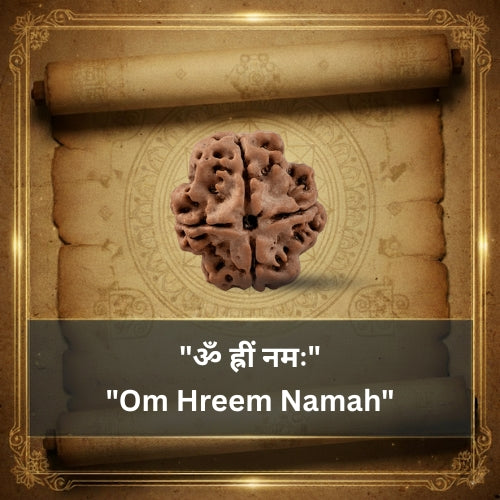 4 Mukhi Rudraksha Bead (Indonesian)