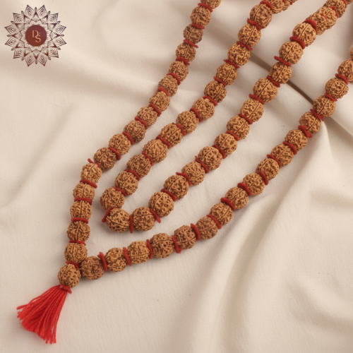 5 Mukhi Kanthi Rudraksha Mala (54+1 Beads)