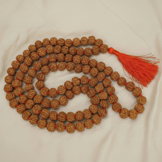 6 Mukhi Rudraksha Mala (108 bead)