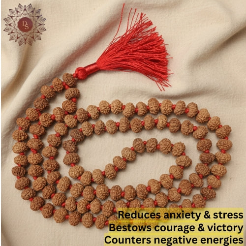 9 Mukhi Rudraksha Mala (108+1 Beads)
