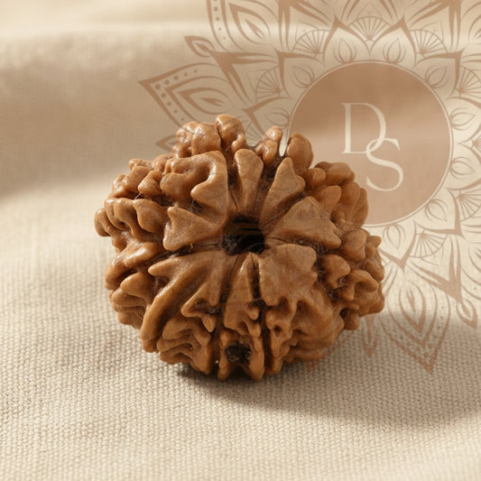 9 Mukhi Rudraksha Bead (Nepali)