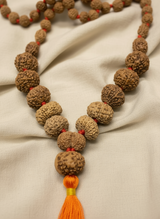 1–14 Mukhi Rudraksha Mala ( Siddha Mala )