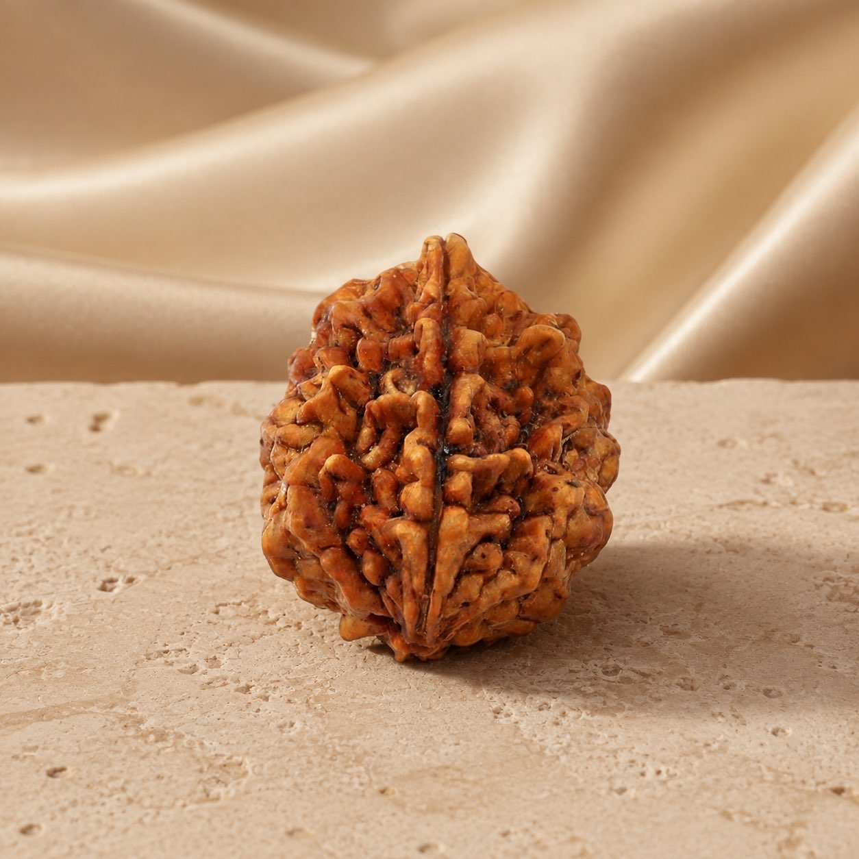 2 Mukhi Rudraksha Bead (Indonesian) natural mukhi line detail