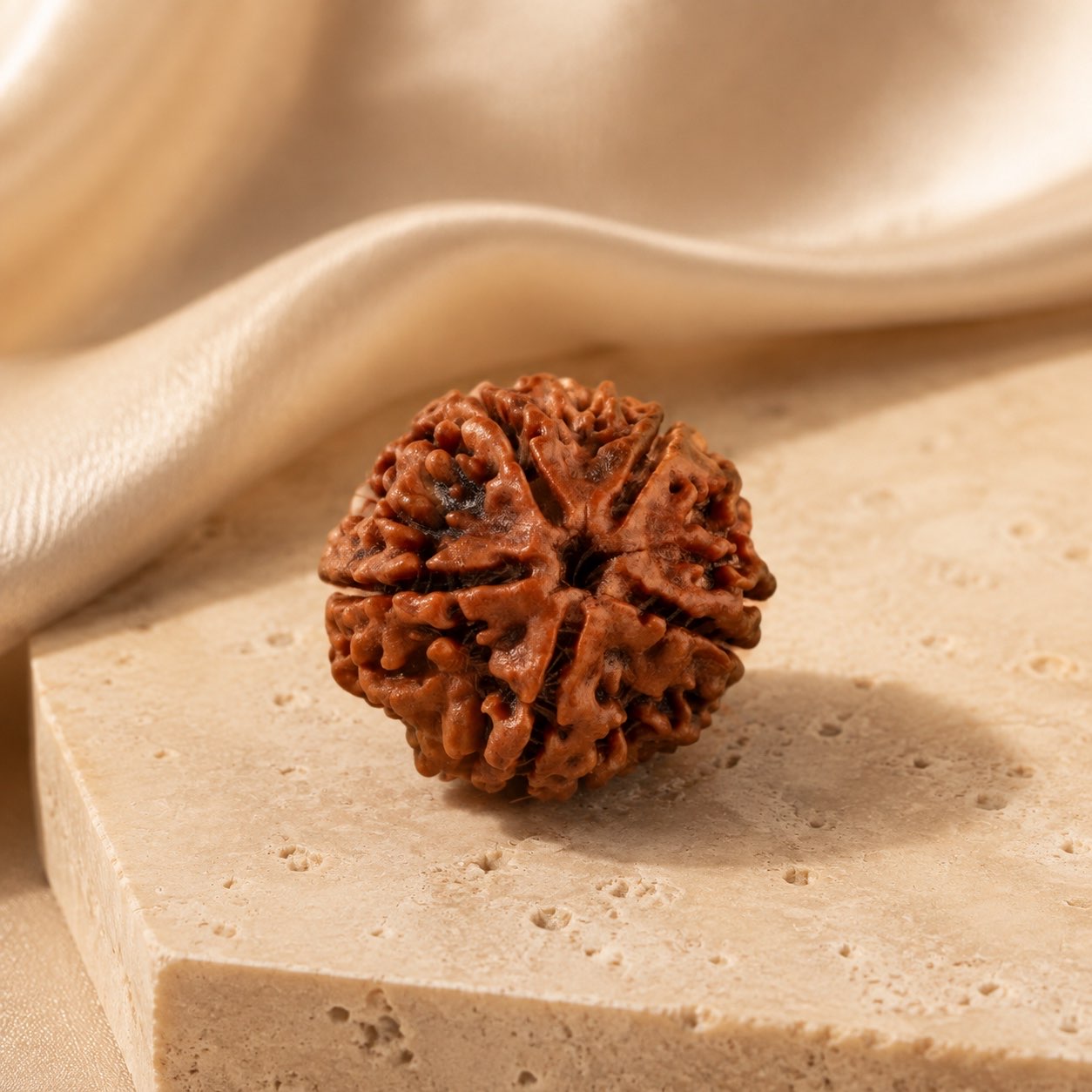 5 Mukhi Rudraksha Bead (Nepali) natural mukhi line detail
