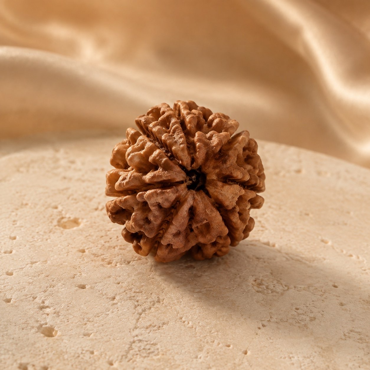6 Mukhi Rudraksha Bead (Nepali) three quarter view