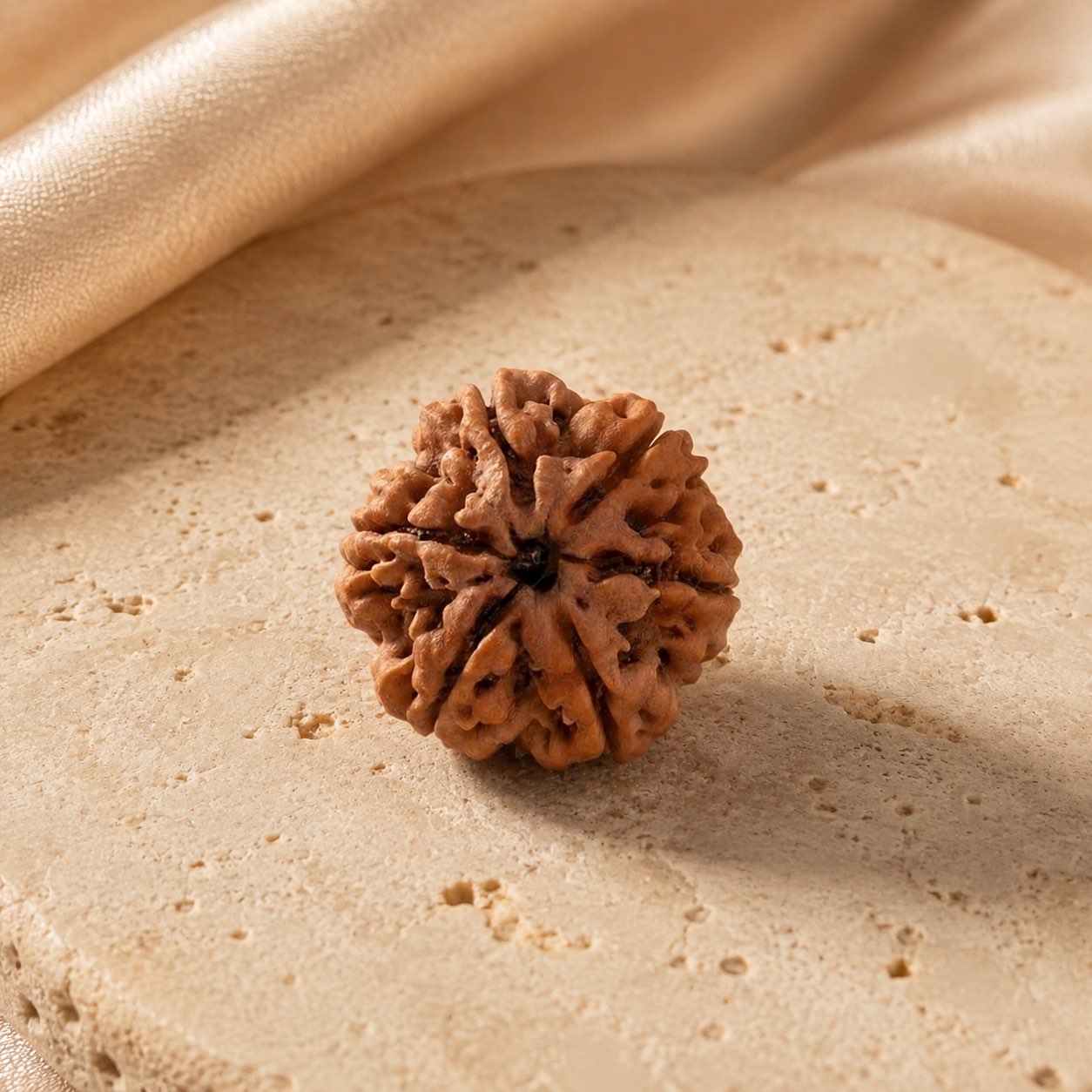 6 Mukhi Rudraksha Bead (Nepali) natural mukhi line detail