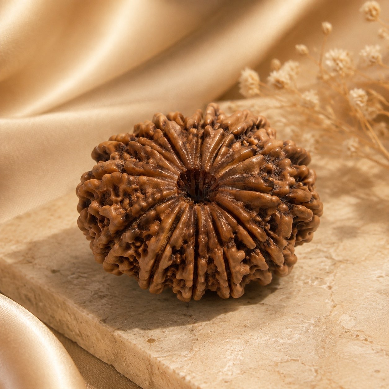 12 Mukhi Rudraksha Bead (Nepali) natural mukhi line detail
