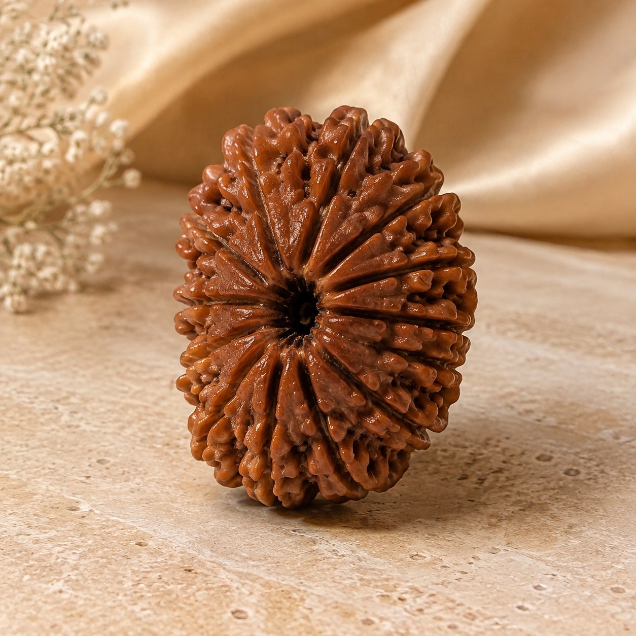 13 Mukhi Rudraksha Bead (Nepali) three quarter view